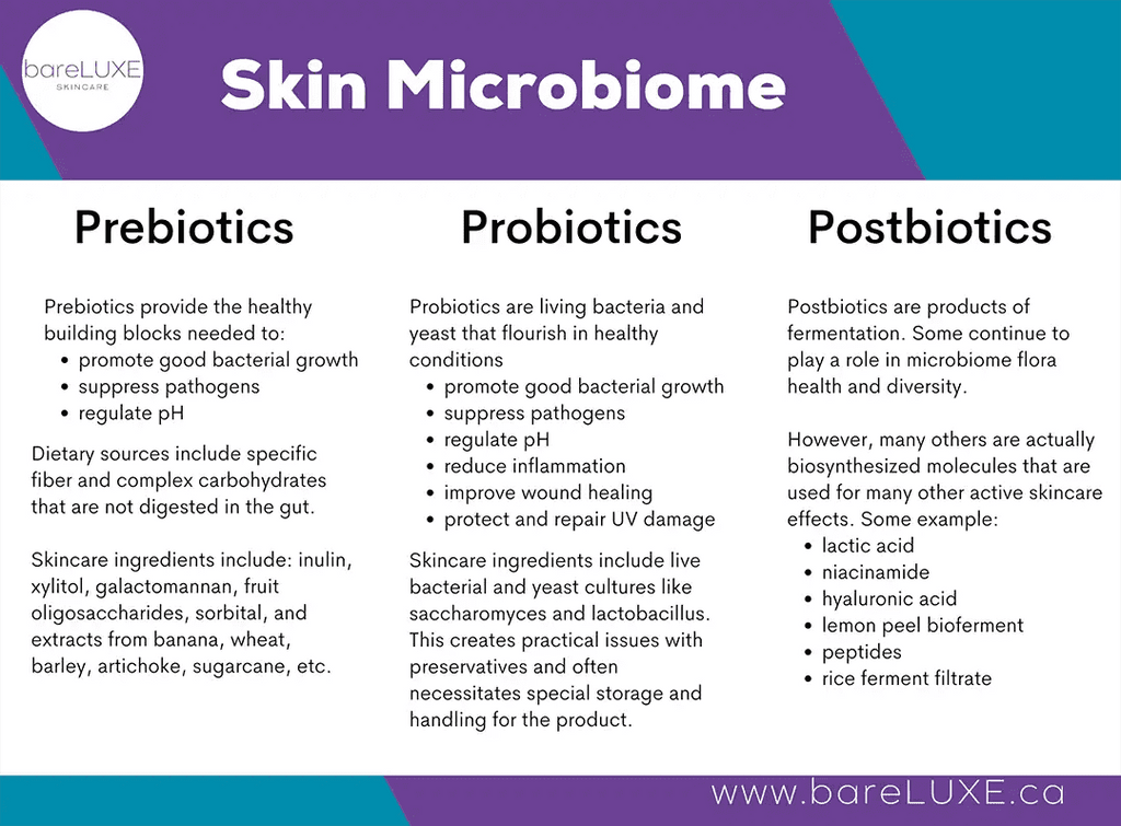The Unseen Allies: How Prebiotics and Postbiotics Revolutionize Clean Skincare